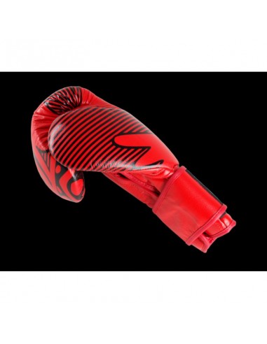 Boxing gloves Masters RbtRed 018060212