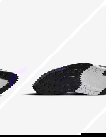 Nike Air Max 1 "Field Purple" DZ4549101 GLD