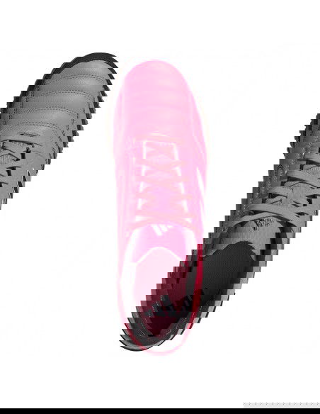 Adidas Top Sala Competition IN IG8764 shoes