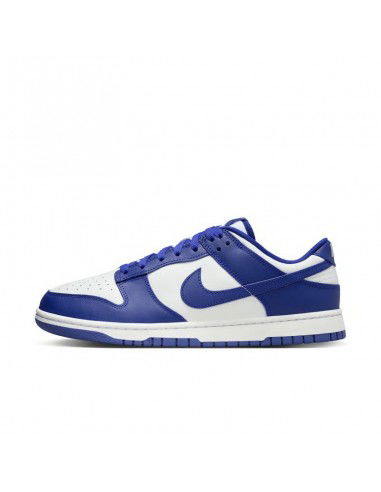 Nike Dunk Low White Concord DV0833103 GLD