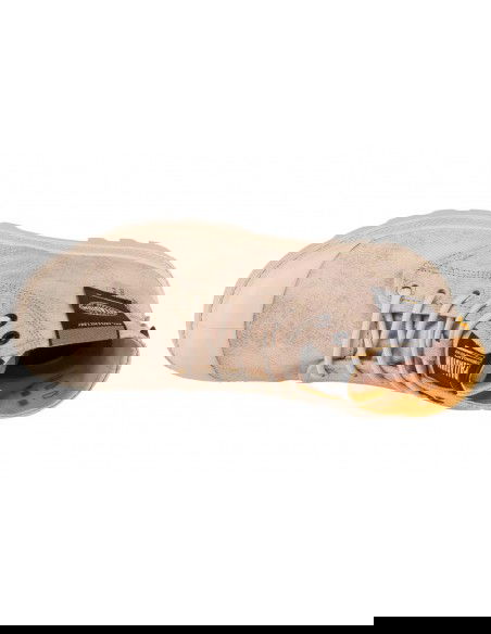 Palladium Pampa Surplus 74389210M