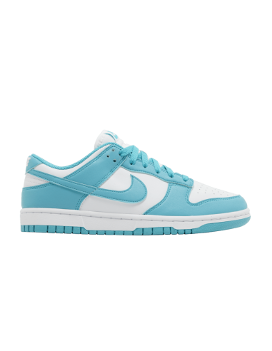 Nike Dunk Low Next Nature Dusty Cactus Women's DD1873105 MBS