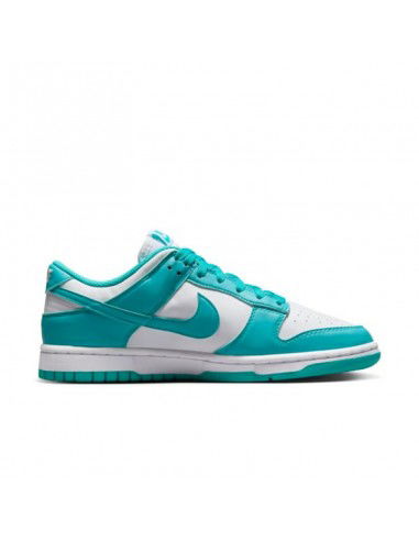 Nike Dunk Low Next Nature Dusty Cactus Women's DD1873105 MBS