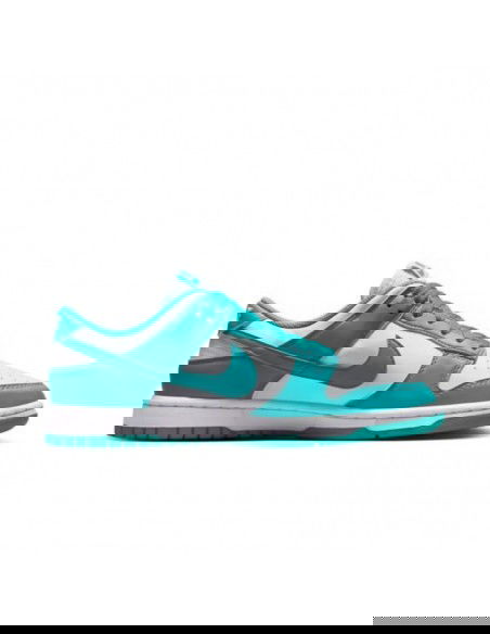 Nike Dunk Low Next Nature Dusty Cactus Women's DD1873105 MBS