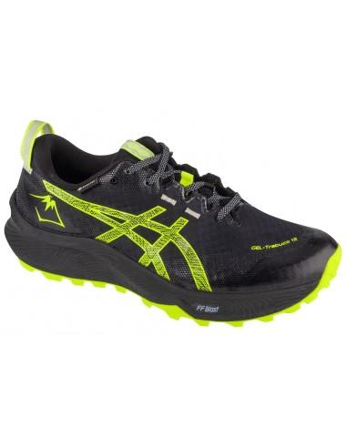 ASICS GelTrabuco 12 GTX 1011B801003