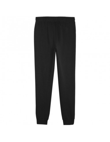 Puma Team Goal Casuals M 658598 03 pants