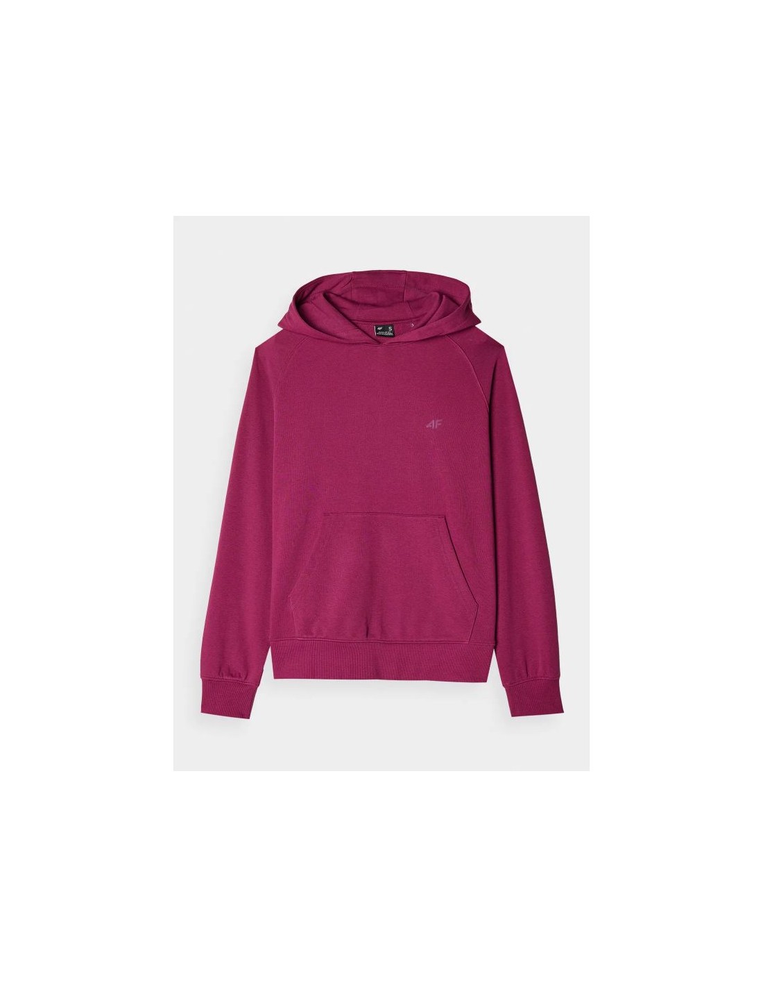 4F Sweatshirt 4F W 4FWMM00TSWSF146851S