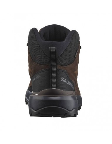 Salomon X Ultra 360 Ltr Mid GTX 475709