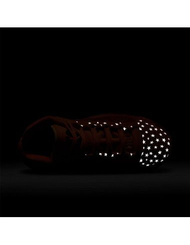 Jordan 38 WNBA Center Star FQ9008800 MBS