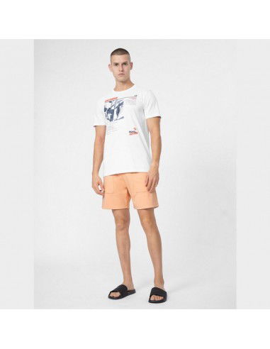 Shorts 4F M 4FSS23TSHOM074 64S