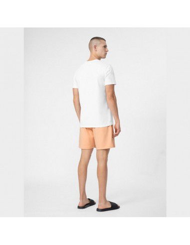 Shorts 4F M 4FSS23TSHOM074 64S