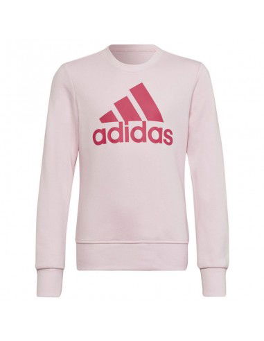Sweatshirt adidas Big Logo SWT Jr HM8709