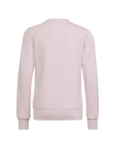 Sweatshirt adidas Big Logo SWT Jr HM8709