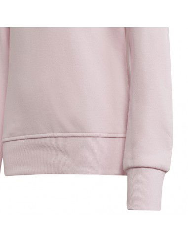 Sweatshirt adidas Big Logo SWT Jr HM8709