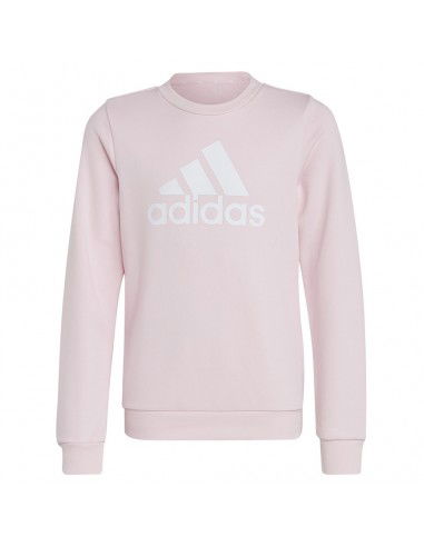 Sweatshirt adidas Big Logo Swt Jr IC6119