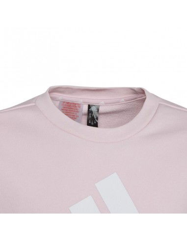 Sweatshirt adidas Big Logo Swt Jr IC6119