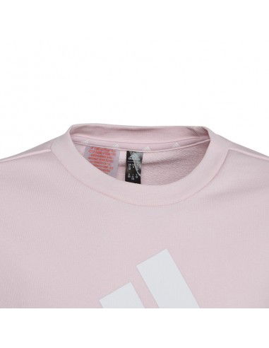 Sweatshirt adidas Big Logo Swt Jr IC6119