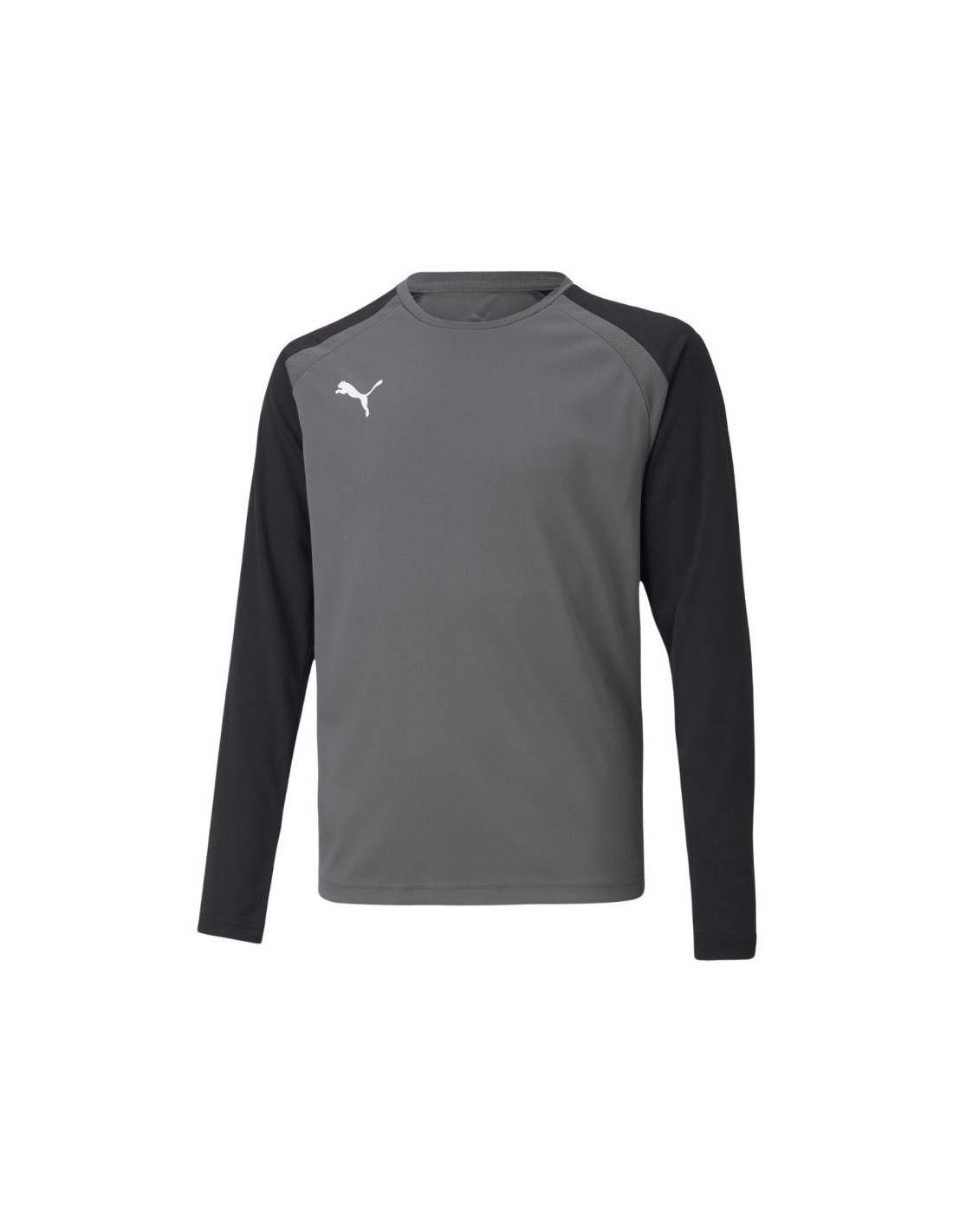 Puma teamPacer GK LS Jersey Jr 704939 43 goalkeeper sweatshirt