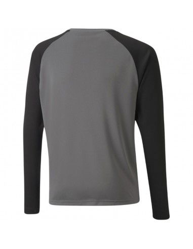 Puma teamPacer GK LS Jersey Jr 704939...