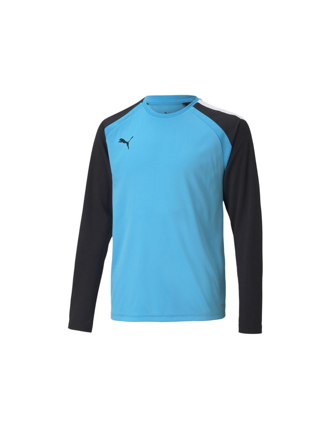 Puma teamPacer GK LS Jersey Jr 704939 40 goalkeeper sweatshirt