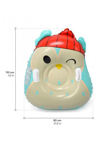 Meteor Owl 16765 snow slide