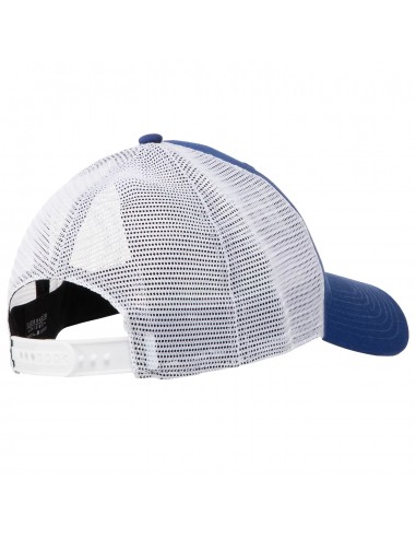47 Brand MLB LA Dodgers Cap BBRANS12CTPRYA