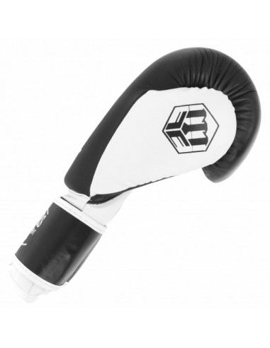 Boxing gloves MASTERS RPUTR 01111212