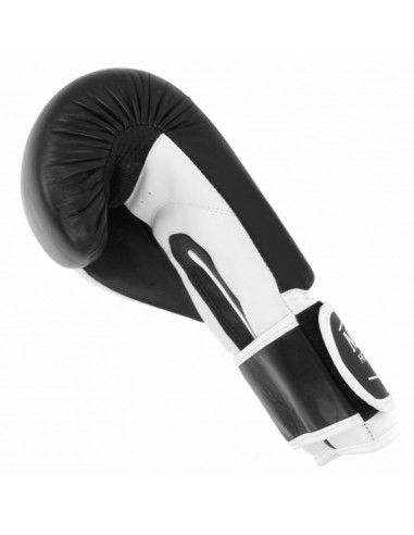 Boxing gloves MASTERS RPUTR 01111212