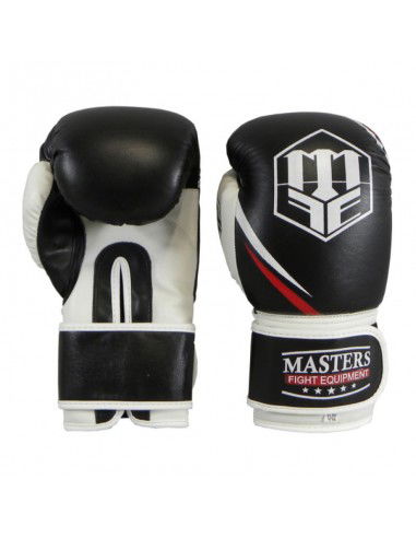 Boxing gloves MASTERS RPUTR 01111212