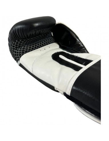 Boxing gloves MASTERS RPUTR 01111212