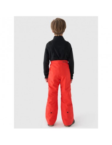 Ski pants 4F Jr 4FJWAW24TFTRM65462S