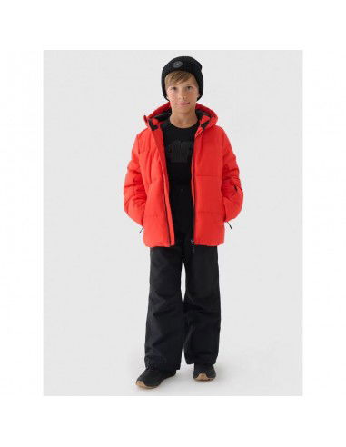 Ski pants 4F Jr 4FJWAW24TFTRM65420S