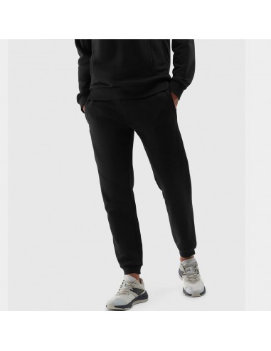 Trousers 4F 4FWSS24TTROM645 20S