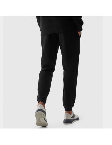 Trousers 4F 4FWSS24TTROM645 20S