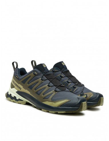 Salomon XA Pro 3D v9 GTX L47823000