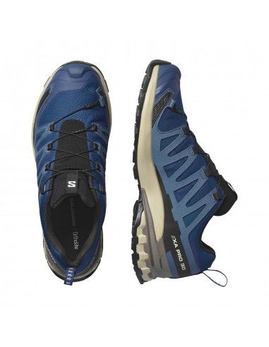 Salomon XA Pro 3D v9 GTX L47817200