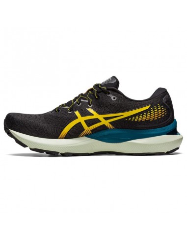 Running shoes Asics GelCumulus 24 TR M 1011B572 750