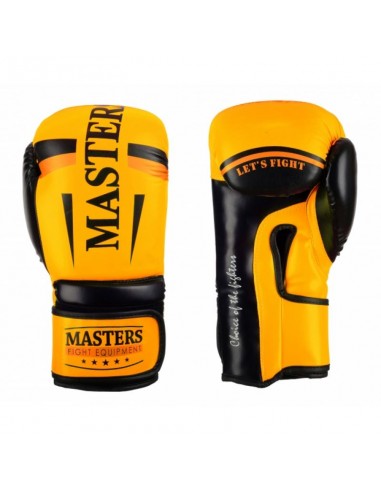 Boxing gloves MASTERS RPUFT 0111230210