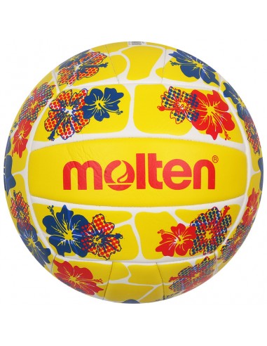 Molten beach volleyball