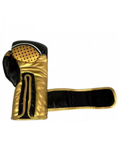 Masters RPU10 boxing gloves 011610