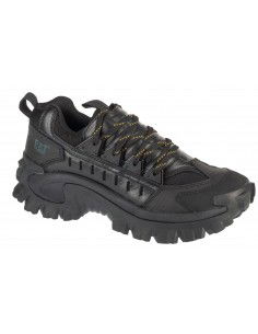 Caterpillar Intruder Met...