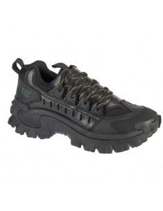 Caterpillar Intruder Met... 2