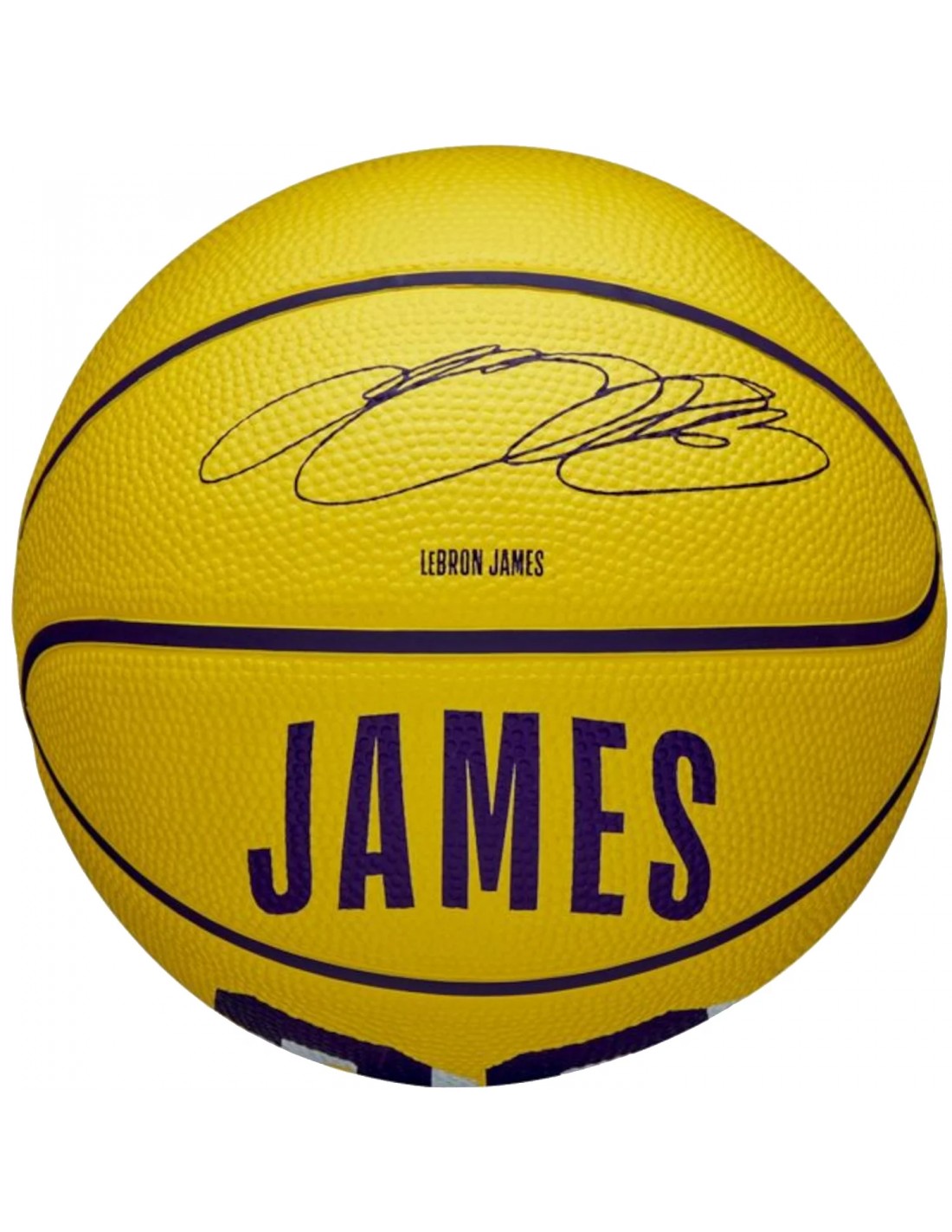 Wilson NBA Player Icon LeBron James Mini Ball WZ4027701XB