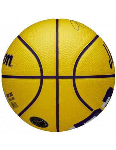 Wilson NBA Player Icon LeBron James...