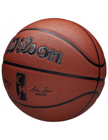 Wilson NBA Authentic City Chicago...