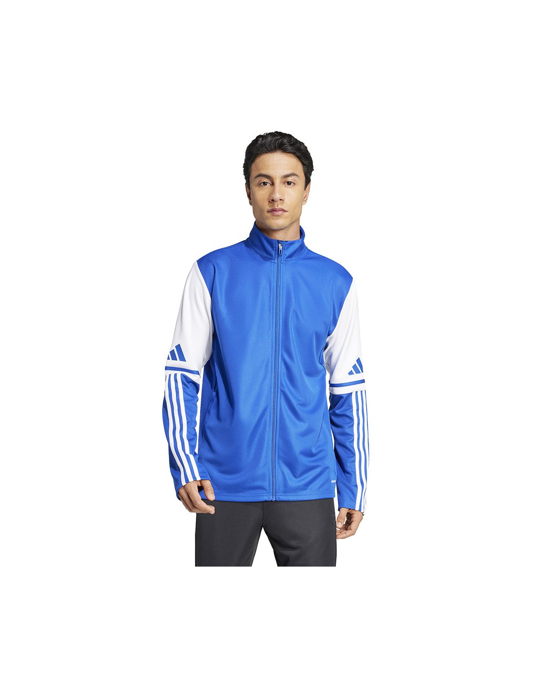 adidas SQUADRA 25 Training JKT sweatshirt JD2980
