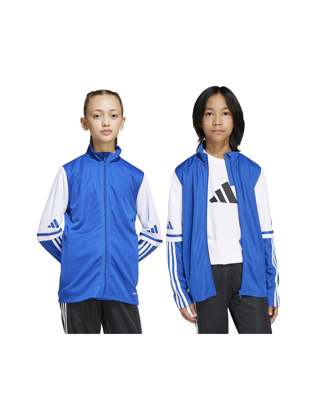 Adidas SQUADRA 25 Training JKT Jr sweatshirt JD4798