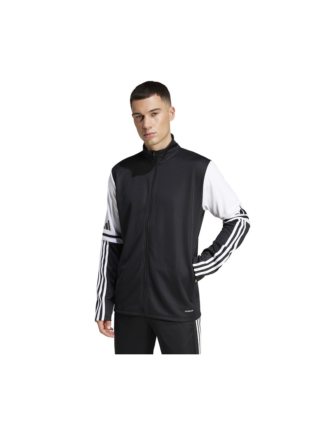 Adidas SQUADRA 25 Training JKT JE2774 sweatshirt