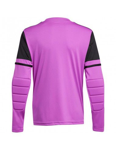 Adidas SQUADRA 25 GK JSY Jr JJ1939...
