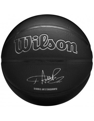  Wilson NBA Player Evergreen Bskt Giannis WZ4026701XB 2025